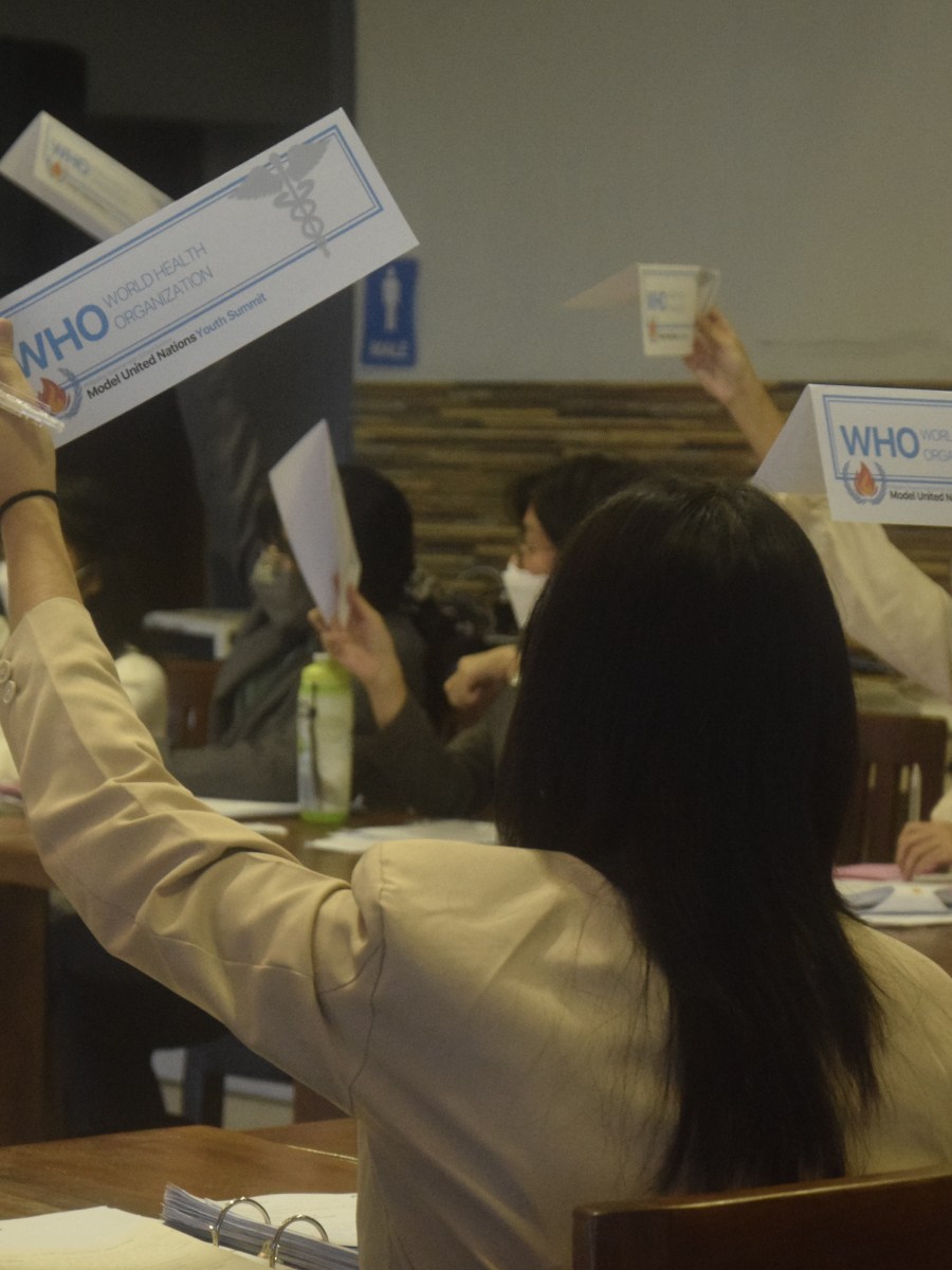 Politics, Passion, People, and PMUNYS III: A Post-Summit&nbsp;Memoir